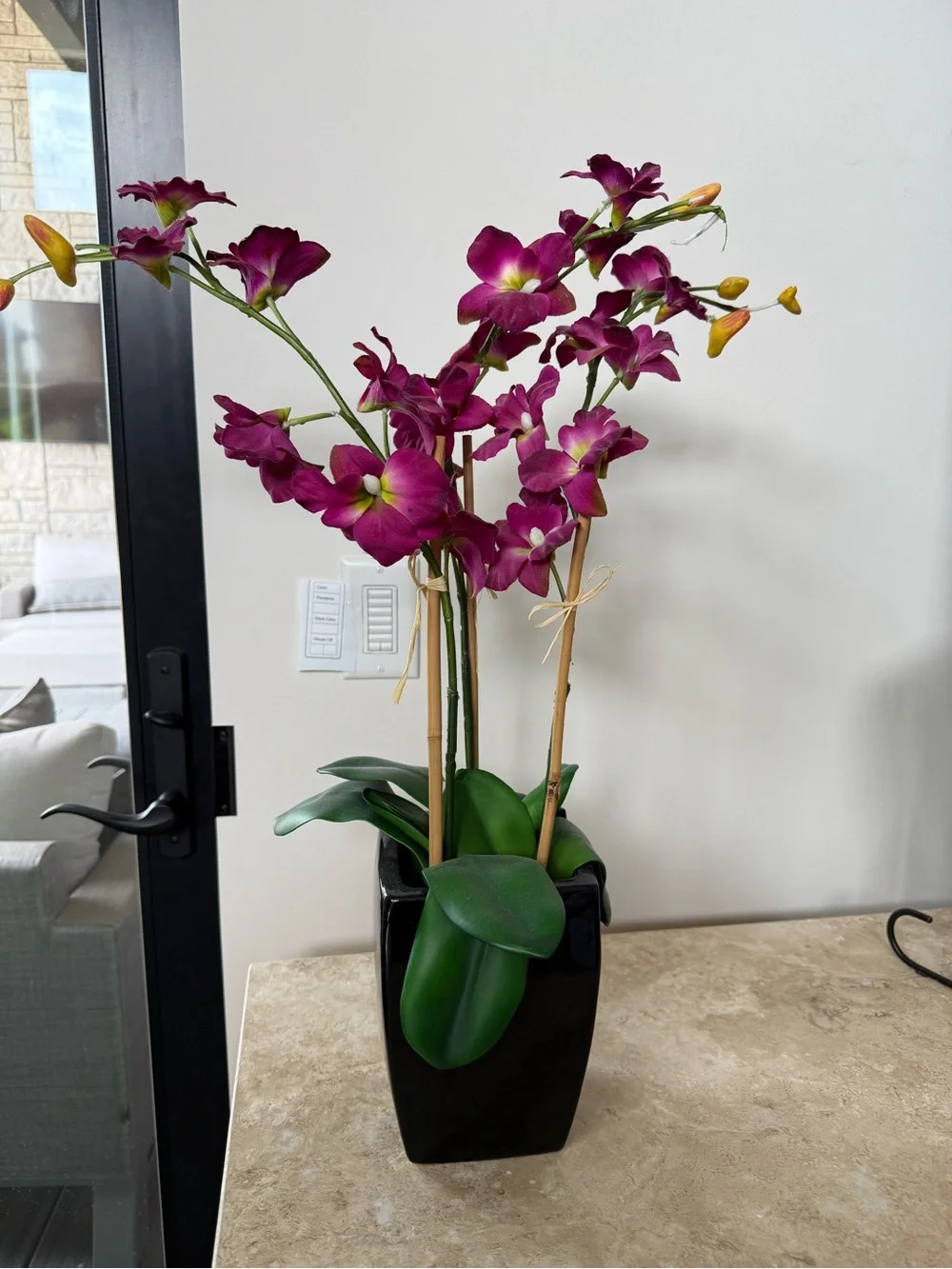 Pier 1 Plum Orchid Arrangement in Black Planter